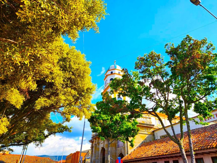 Alcalde Donoso Ruiz despeja dudas sobre camaras de seguridad vial en Chia1