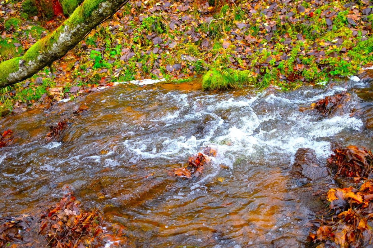 Deficit de agua sacude a la Sabana de Bogota incluso antes de la temporada seca1