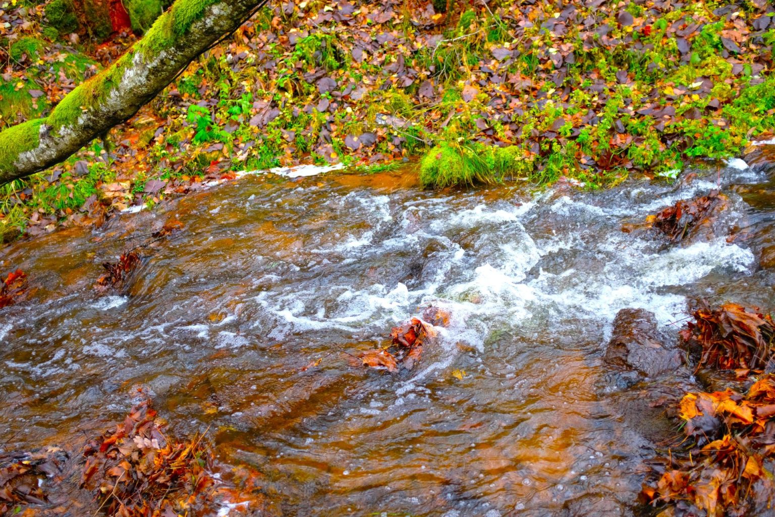 Deficit de agua sacude a la Sabana de Bogota incluso antes de la temporada seca1