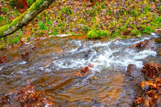 Deficit de agua sacude a la Sabana de Bogota incluso antes de la temporada seca1