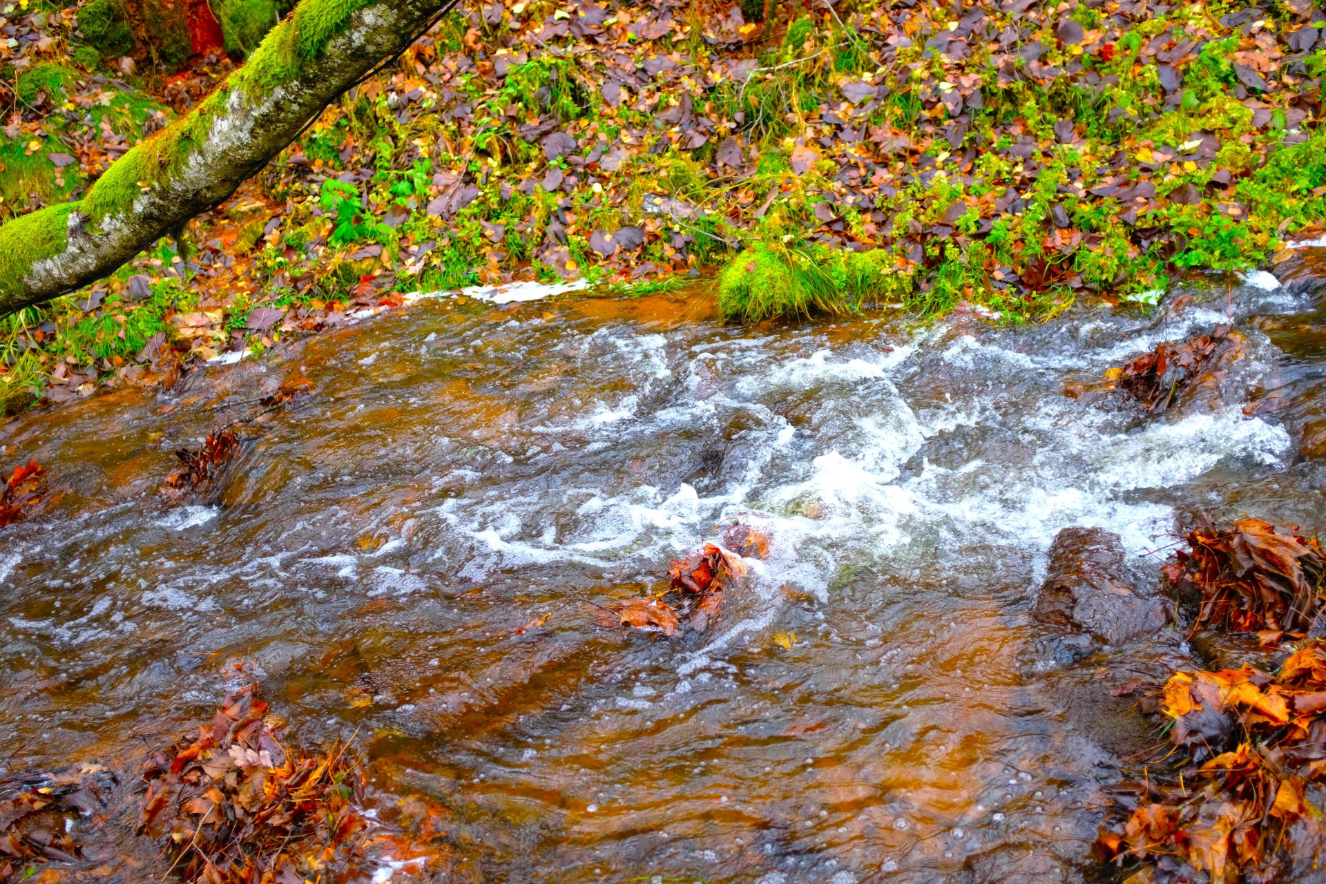 Deficit de agua sacude a la Sabana de Bogota incluso antes de la temporada seca1