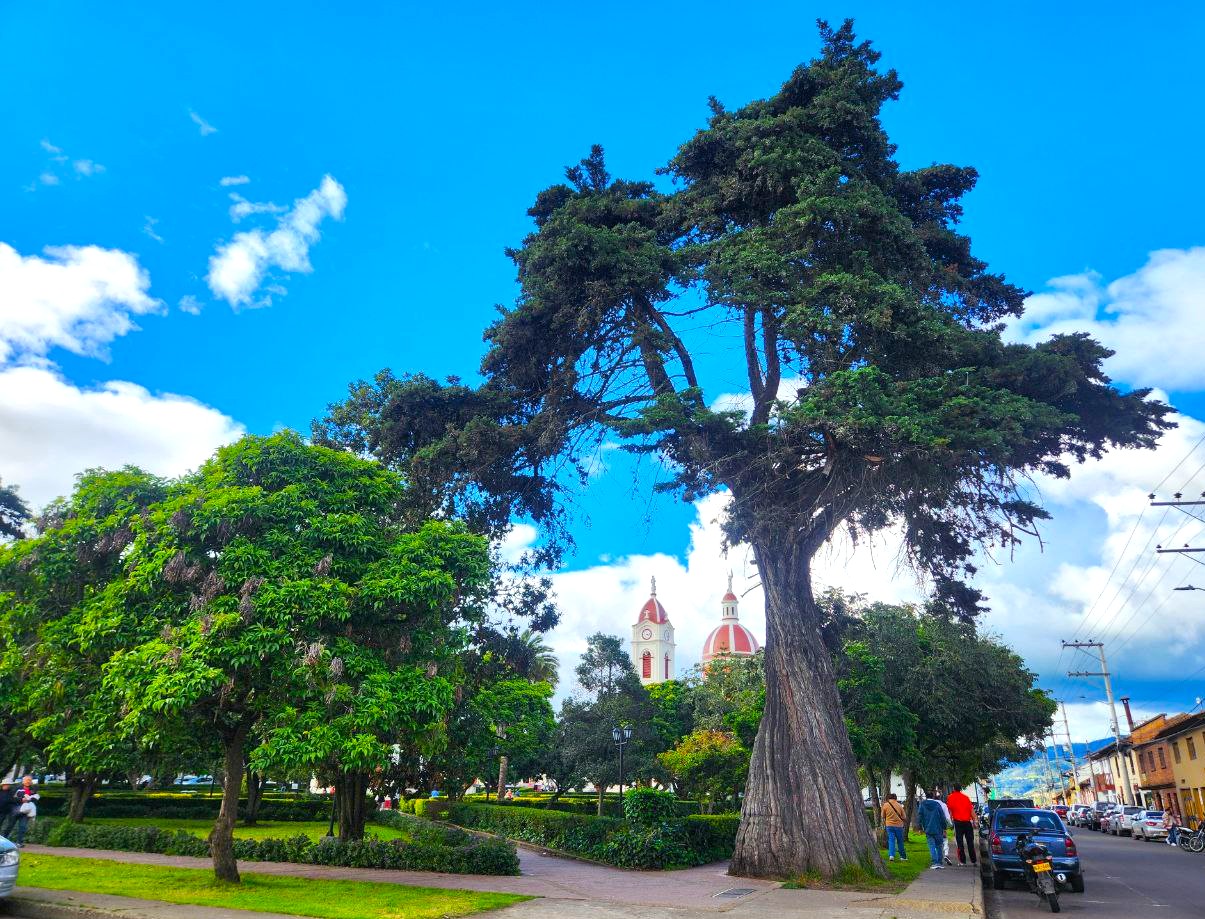Parque principal de Subachoque. Al fondo se aprecia la torre del campanario y del reloj, y la cúpula. Foto/Extrategia.