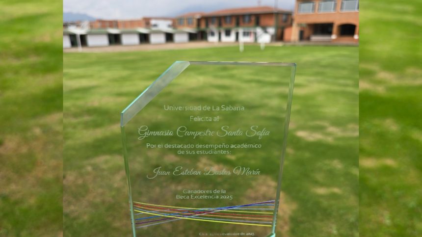 InShot 20260128 183153097