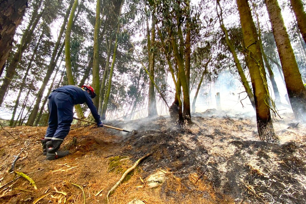 Incendio en corredor ambiental entre Chia y Tabio Bomberos controlaron la conflagracion