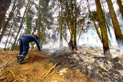 Incendio en corredor ambiental entre Chia y Tabio Bomberos controlaron la conflagracion