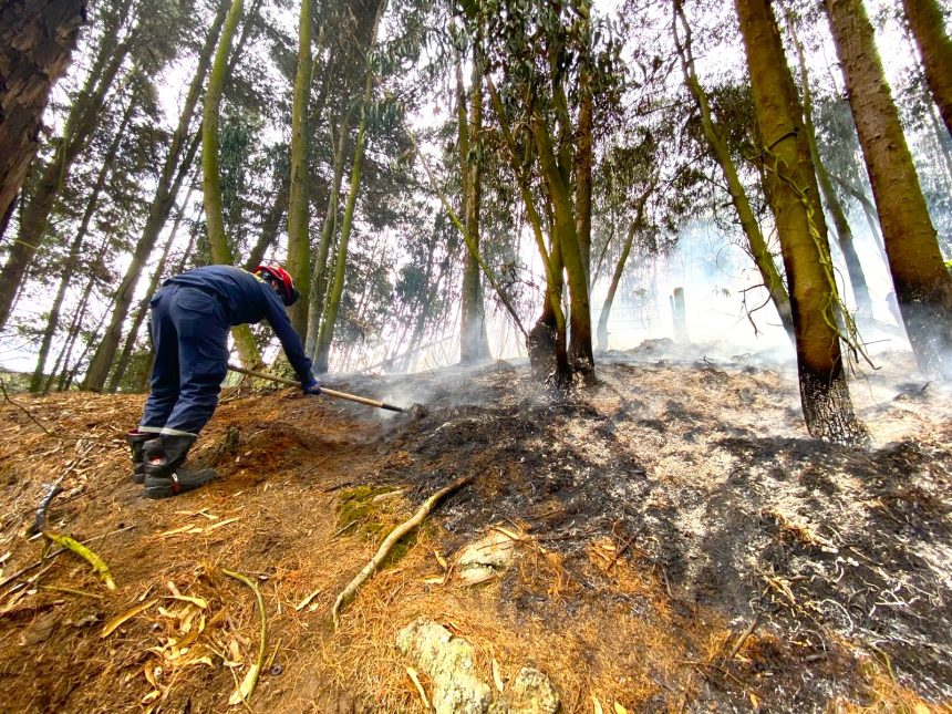Incendio en corredor ambiental entre Chia y Tabio Bomberos controlaron la conflagracion