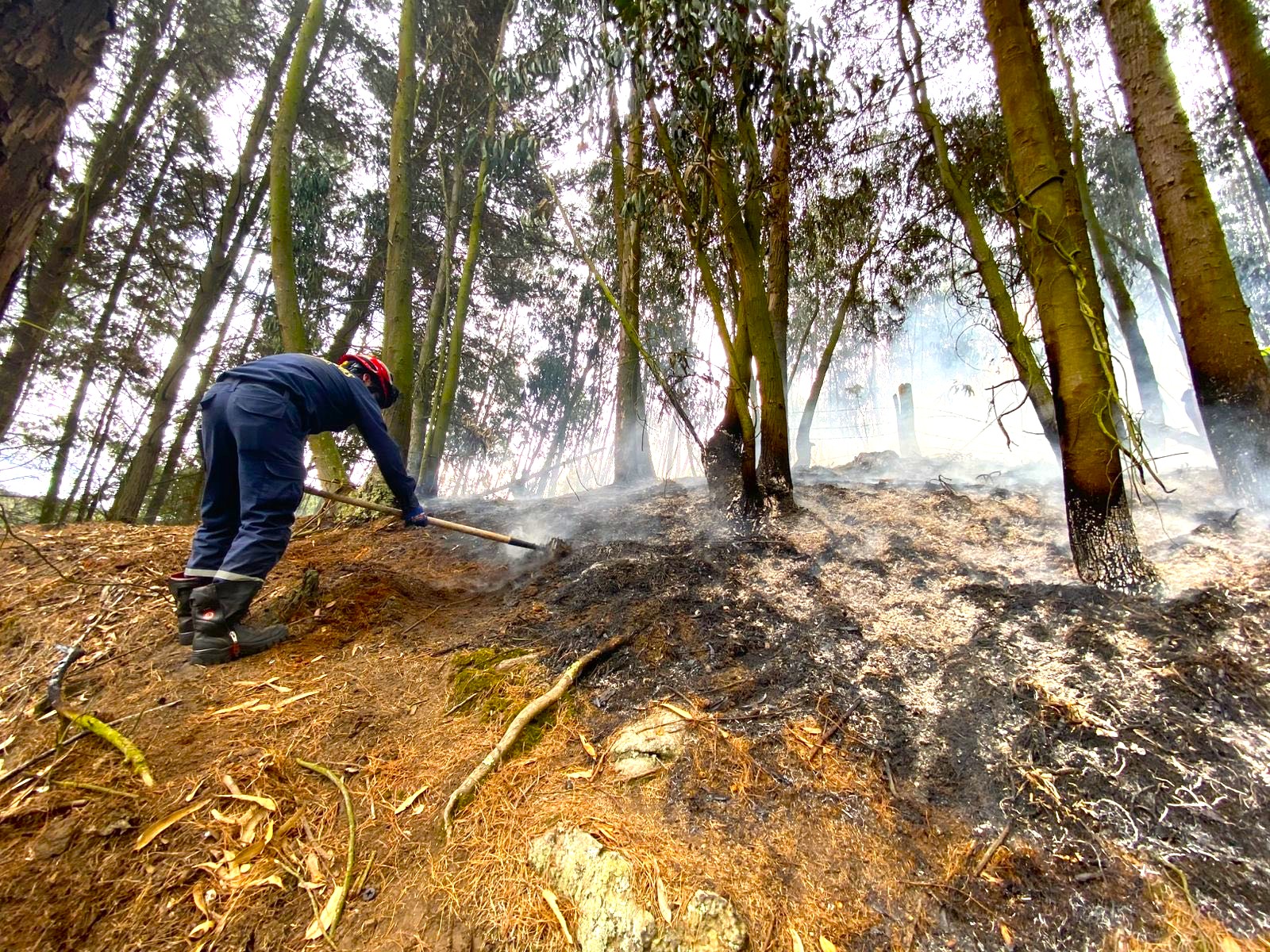 Incendio en corredor ambiental entre Chia y Tabio Bomberos controlaron la conflagracion