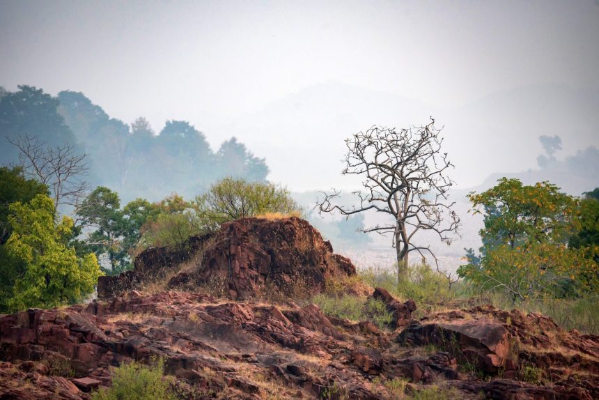 beautiful indian landscape in gharial sanctuary 2026 01 05 04 54 48 utc