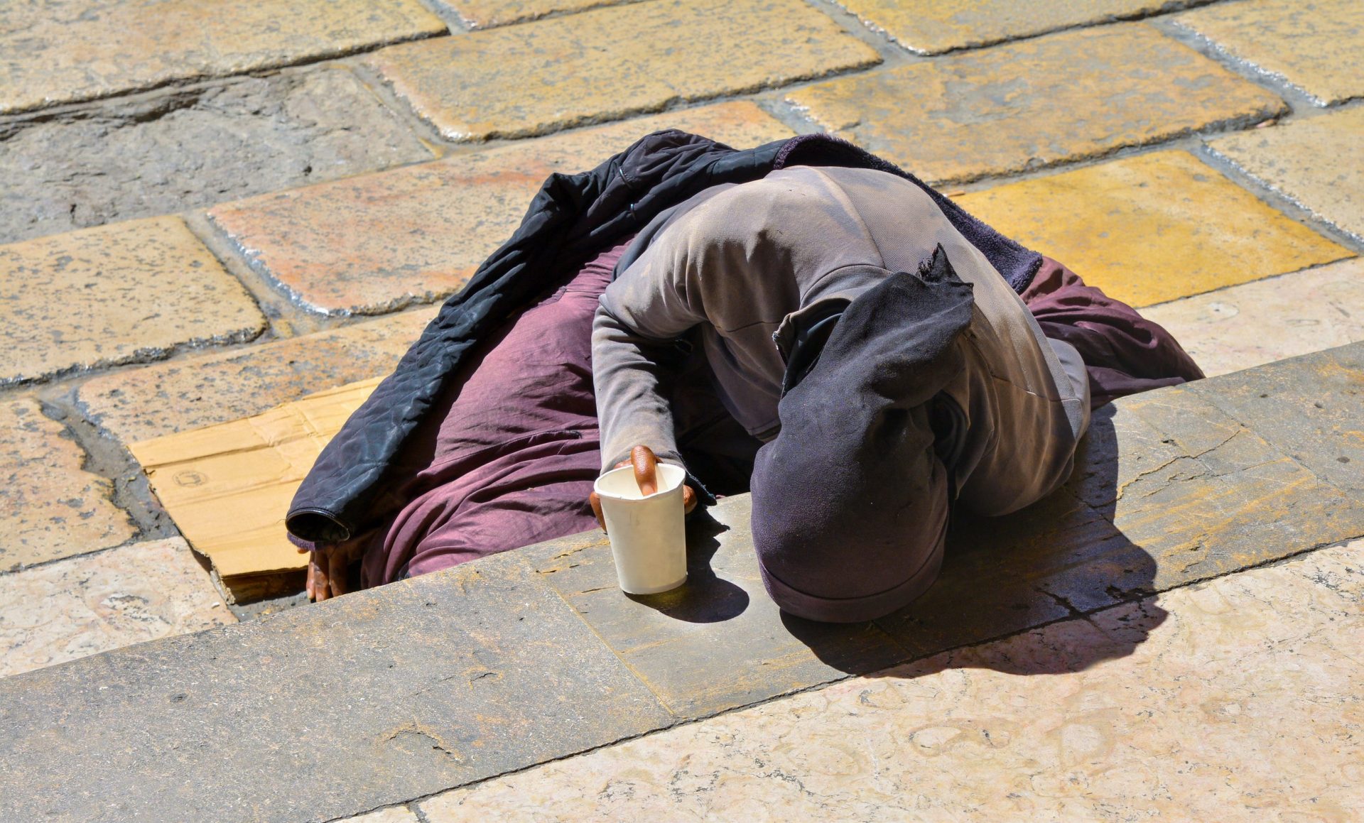 envato labs image edit