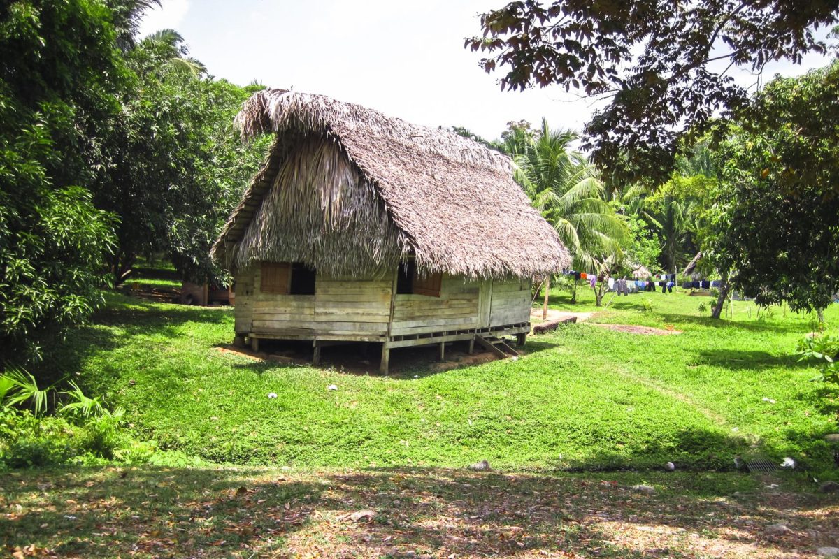 indigenous house with a thatch roof in belize 2026 01 05 00 32 12 utc
