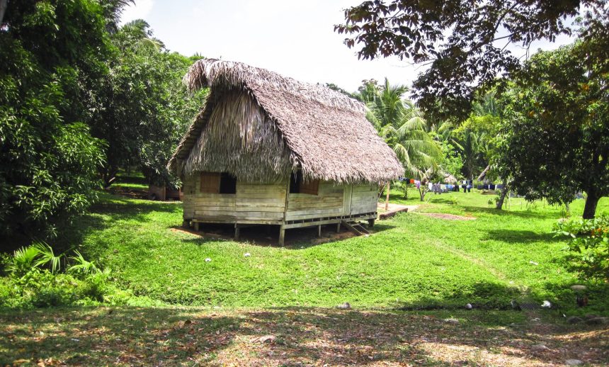 indigenous house with a thatch roof in belize 2026 01 05 00 32 12 utc