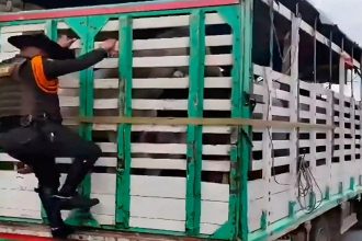 photo 2026 01 23 15 14 37