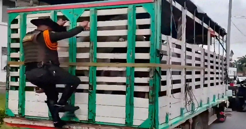 photo 2026 01 23 15 14 37