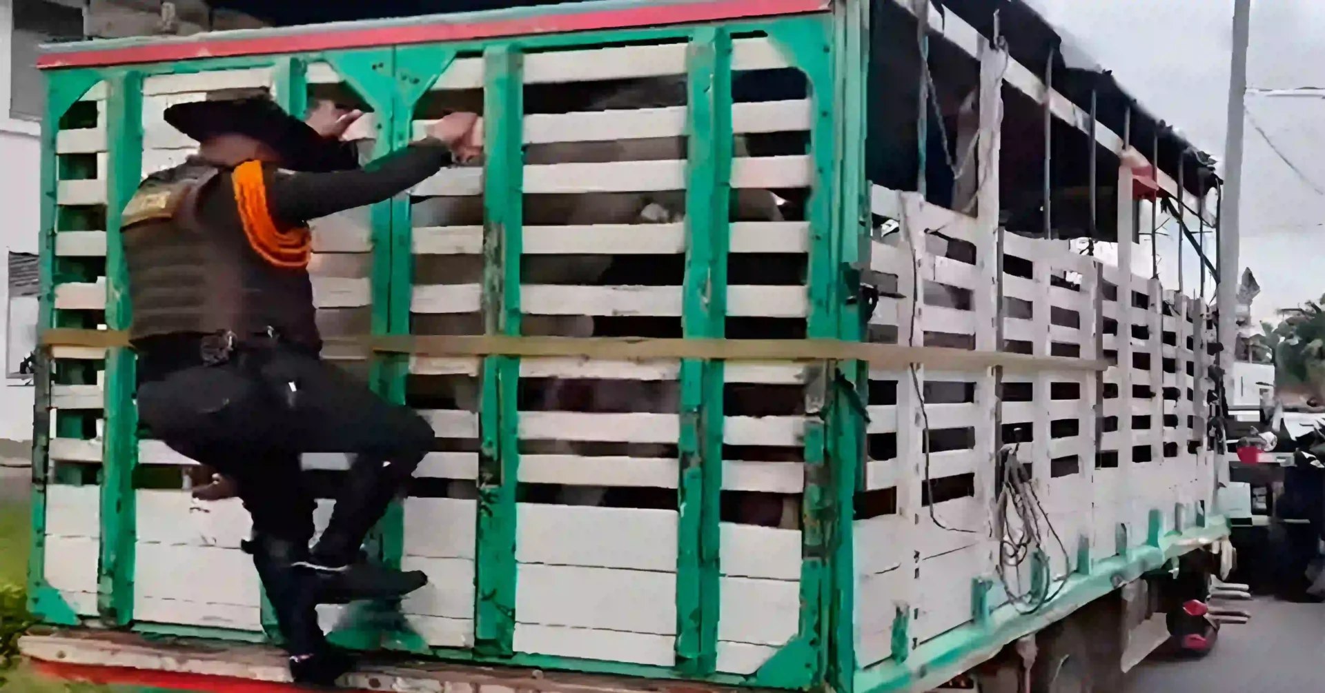 photo 2026 01 23 15 14 37