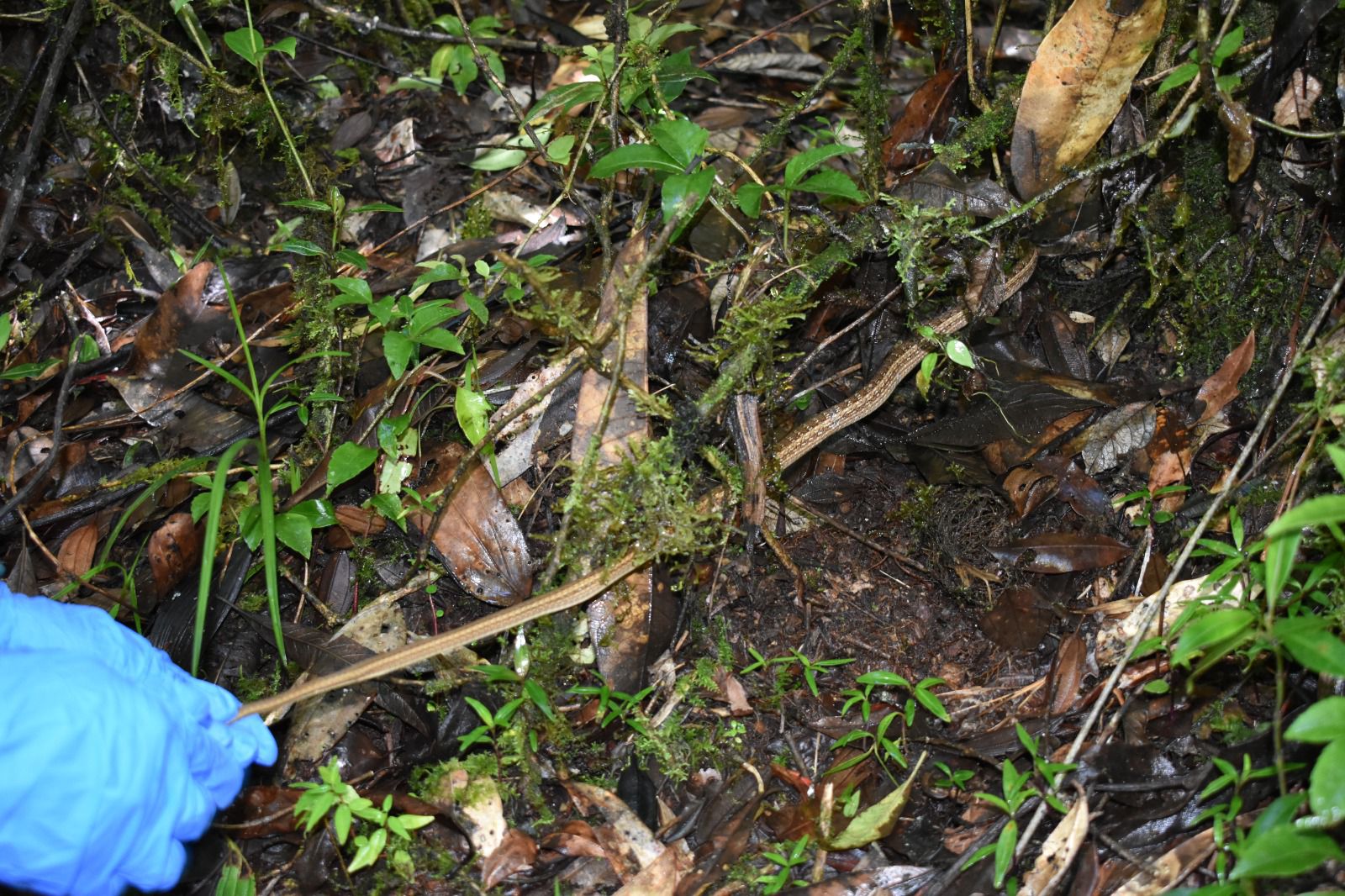 630509138 1589531605618390 4844259599340338399 n