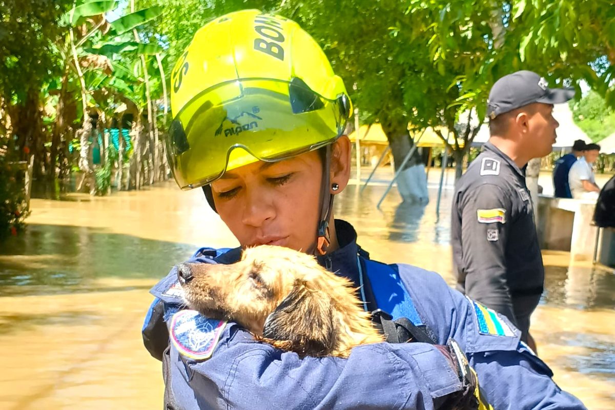 Bomberos de Cundinamarca en primera linea por inundaciones en Cordoba1