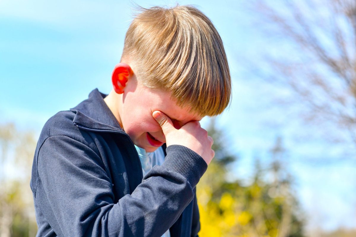Corte ordena a Mutual Ser EPS transporte para nino con autismo y exige educacion inclusiva en Cartagena