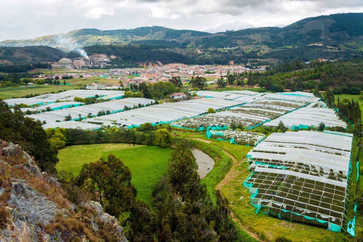 Depositphotos 22753081 L