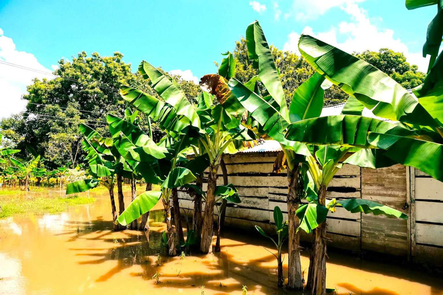 Estado de emergencia economica en ocho departamentos por crisis climatica extrema1