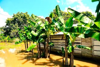 Estado de emergencia economica en ocho departamentos por crisis climatica extrema1