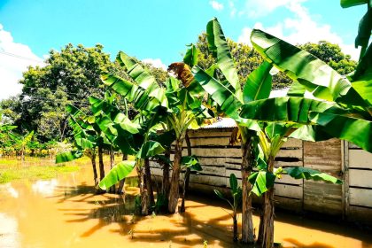 Estado de emergencia economica en ocho departamentos por crisis climatica extrema1