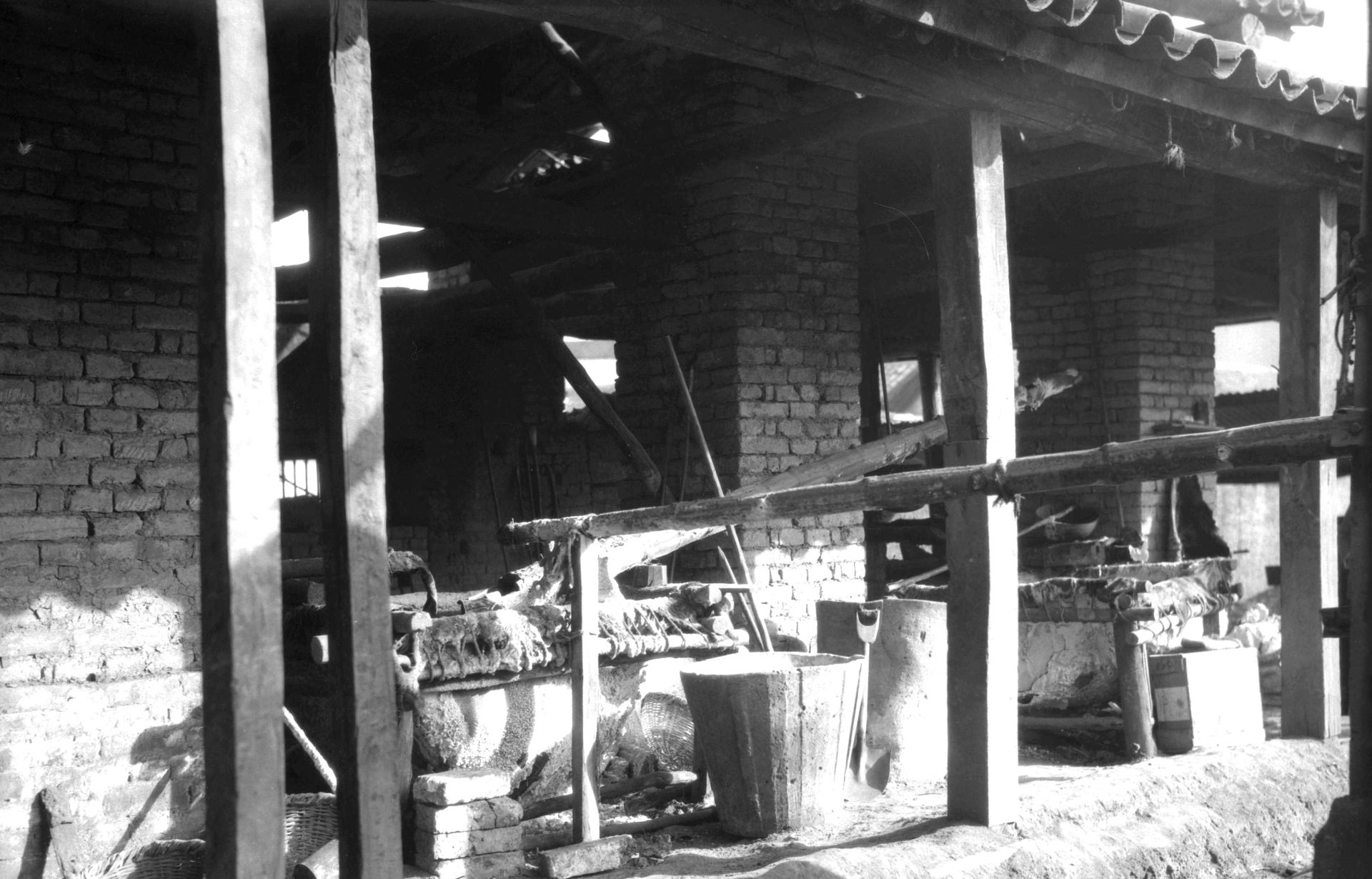 La Montana de Sal buitrones en la niebla2