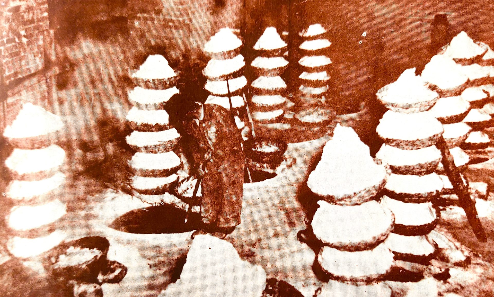 La Montana de Sal buitrones en la niebla3