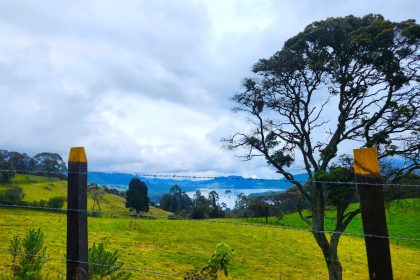 Sabana Centro destina 35 mil millones a la proteccion del agua y los ecosistemas1