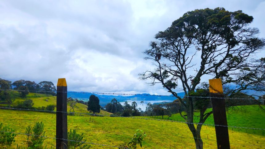 Sabana Centro destina 35 mil millones a la proteccion del agua y los ecosistemas1