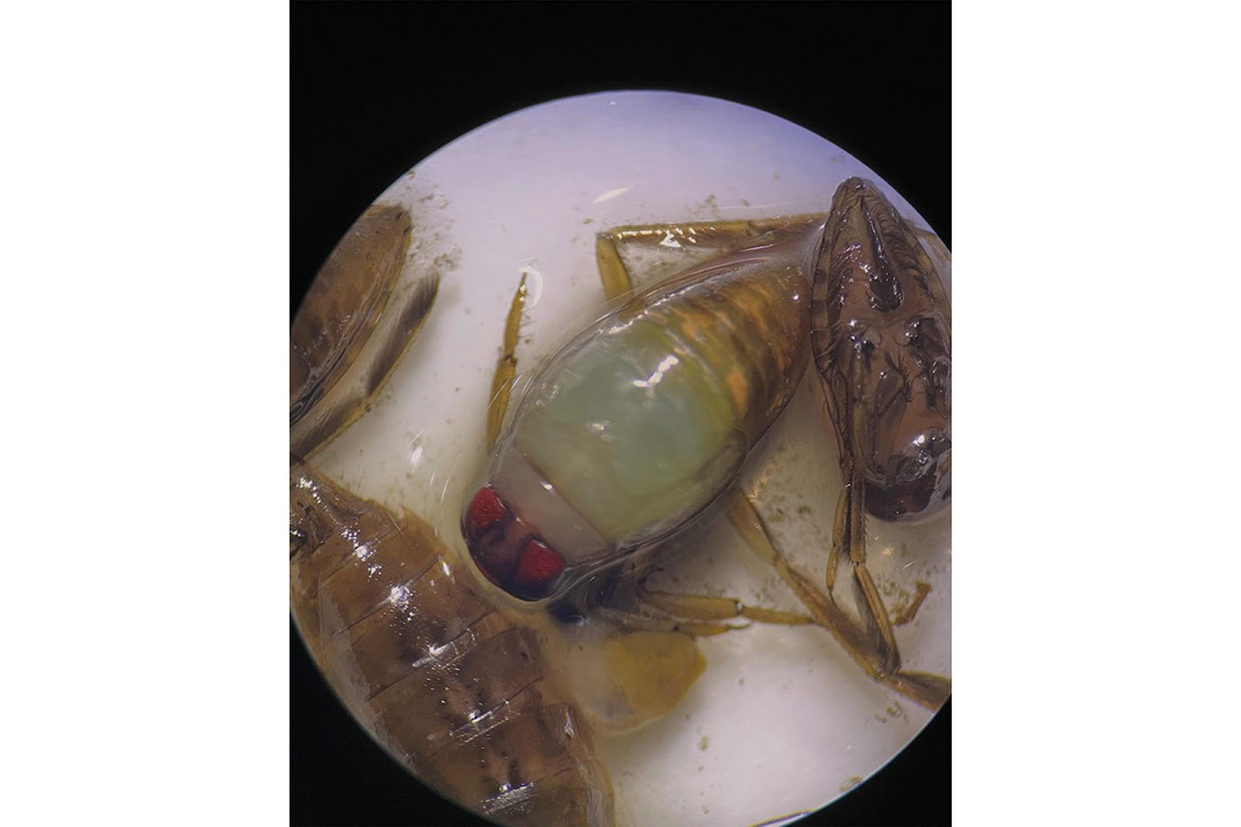 AgenciaUNAL 190326 04