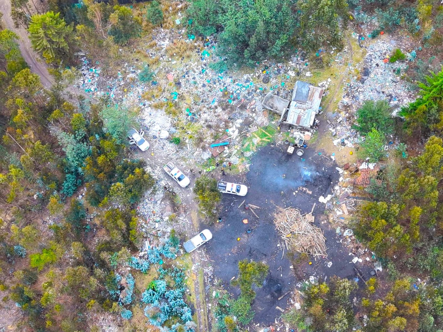 Entre la espesura del bosque de Guatavita asi operaba una quema ilegal que devastaba el entorno sin ser detectada1