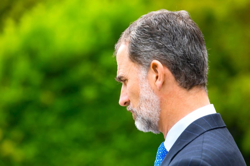 Felipe VI admite abusos durante la Conquista y enciende el debate sobre la herencia colonial en America1