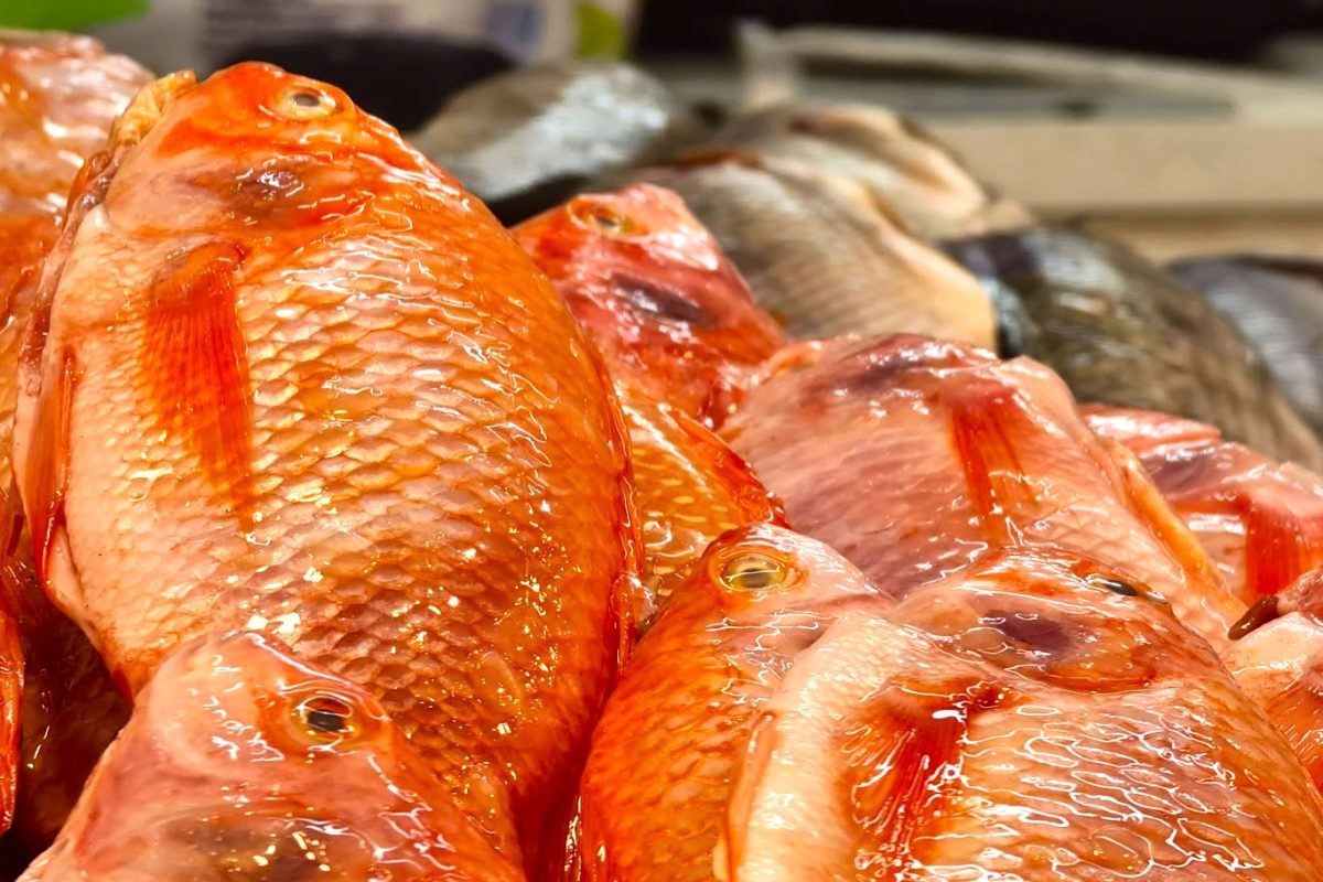 Invima lanza alerta en Semana Santa errores al comprar y preparar pescado podrian afectar la salud1
