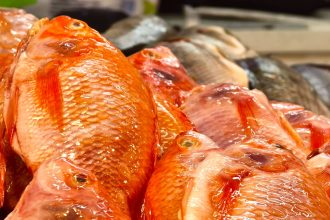 Invima lanza alerta en Semana Santa errores al comprar y preparar pescado podrian afectar la salud1