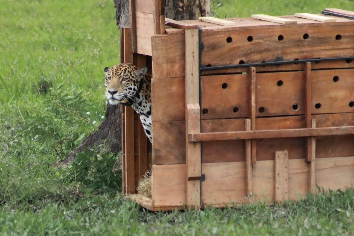 image 2026 03 02 16 19 24