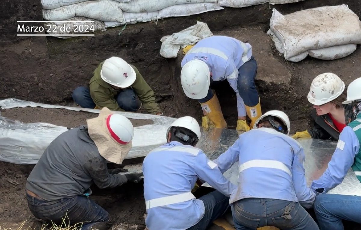 image 2026 03 03 17 58 01