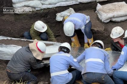 image 2026 03 03 17 58 01