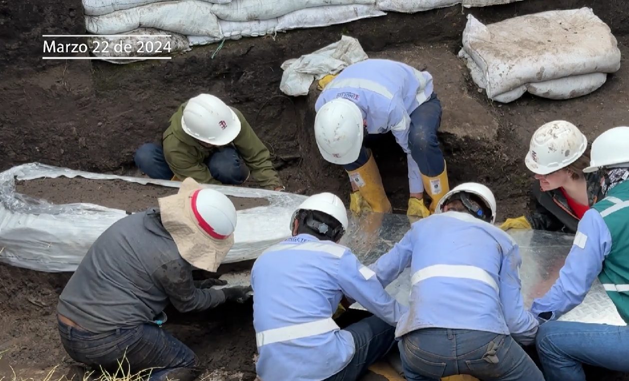 image 2026 03 03 17 58 01