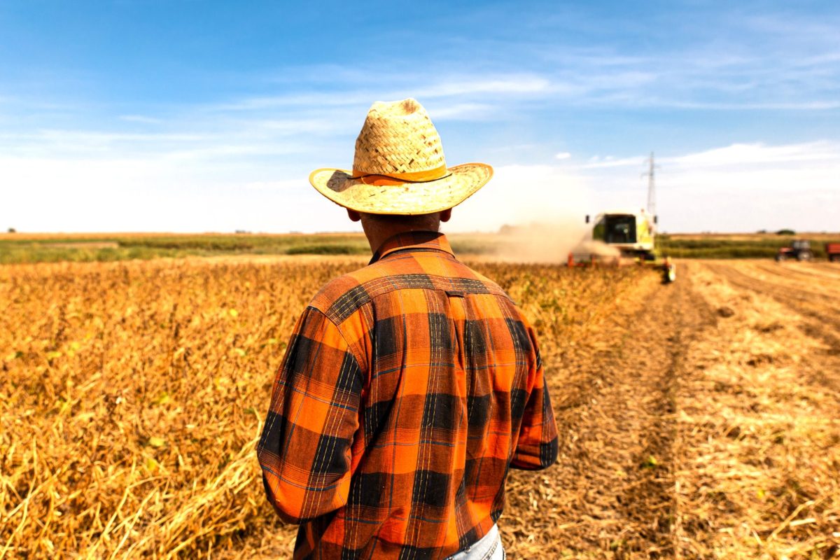 Alerta global el calor extremo ya esta afectando los alimentos y podria empeorar en los proximos anos