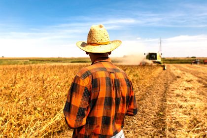 Alerta global el calor extremo ya esta afectando los alimentos y podria empeorar en los proximos anos