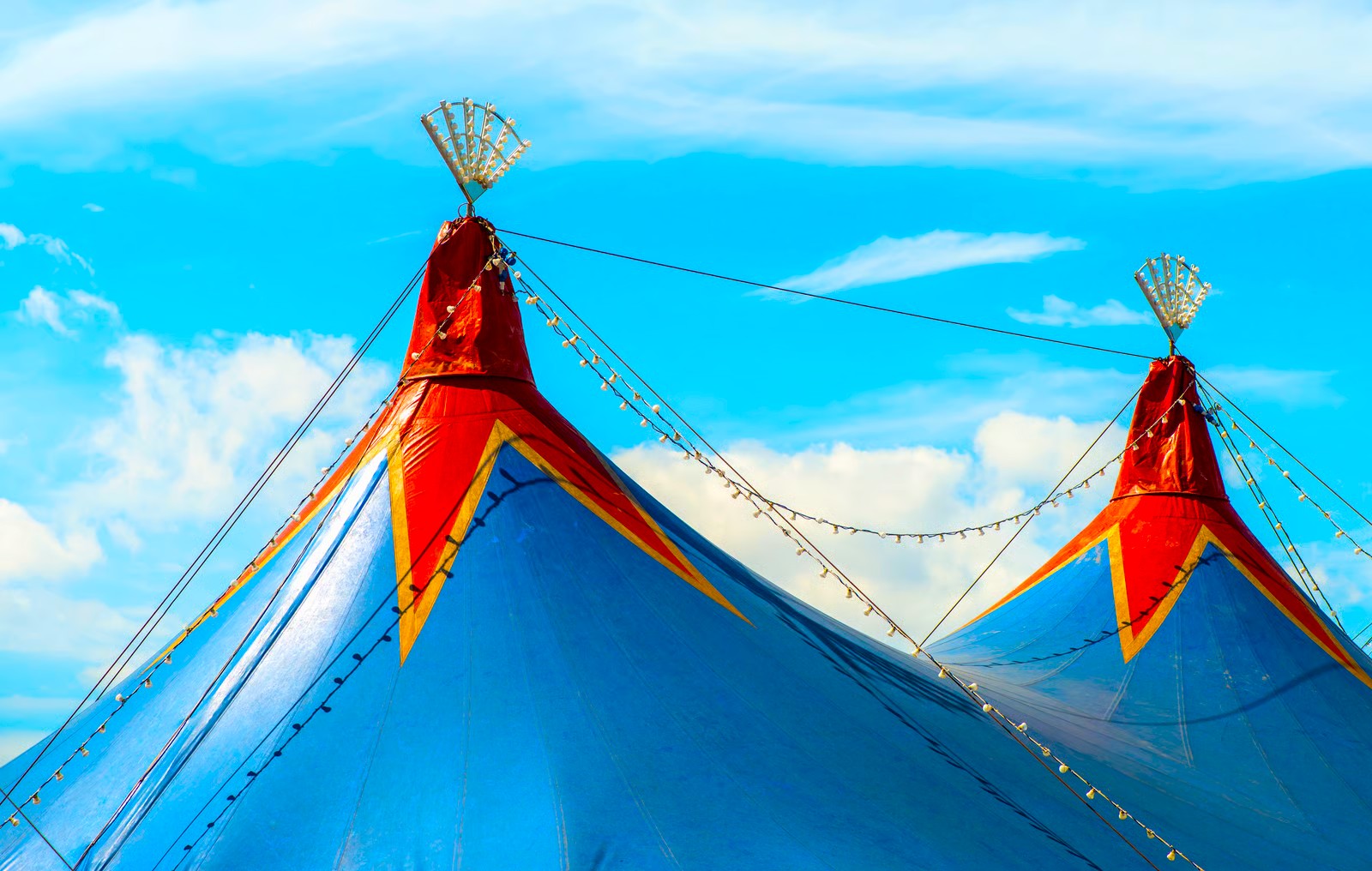 Dia Mundial del Circo Bogota lo celebra con shows gratis en calles parques y teatros este 19 y 26 de abril3