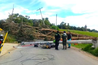 Emergencia en Tabio arbol derriba poste y deja motociclista gravemente herido1