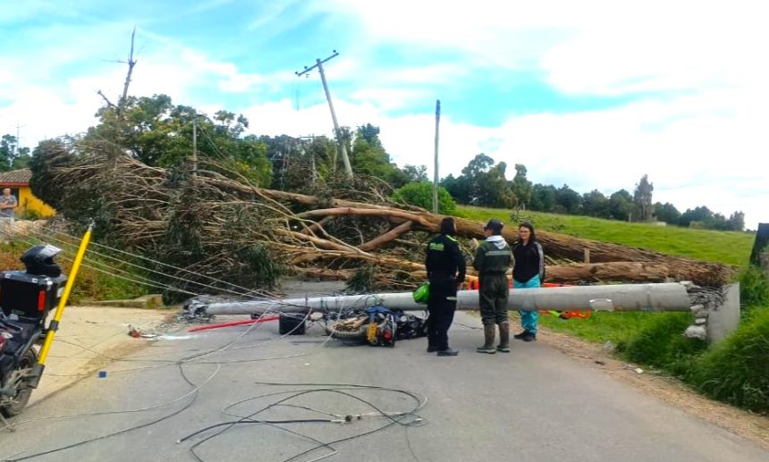 Emergencia en Tabio arbol derriba poste y deja motociclista gravemente herido1