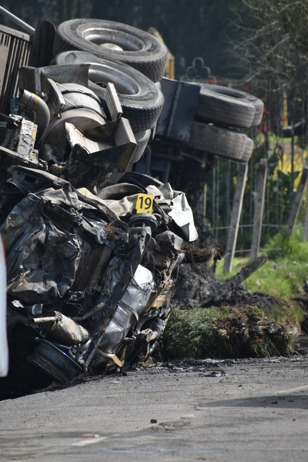 photo 19 2026 04 01 15 01 23