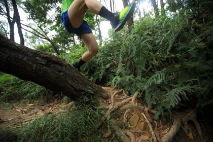 ultramarathon runner running in tropical rainfores 2026 01 06 09 33 57 utc