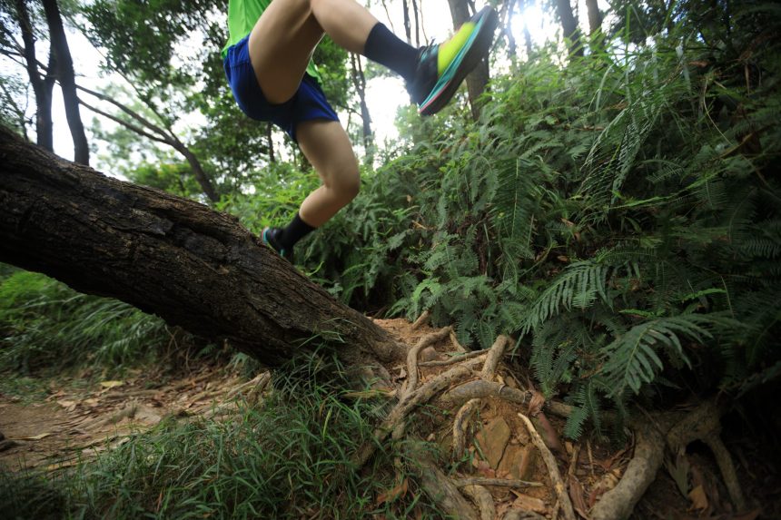 ultramarathon runner running in tropical rainfores 2026 01 06 09 33 57 utc