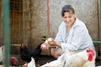 woman farmer collecting fresh organic eggs on chic 2026 01 08 07 59 28 utc