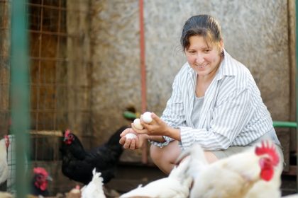woman farmer collecting fresh organic eggs on chic 2026 01 08 07 59 28 utc