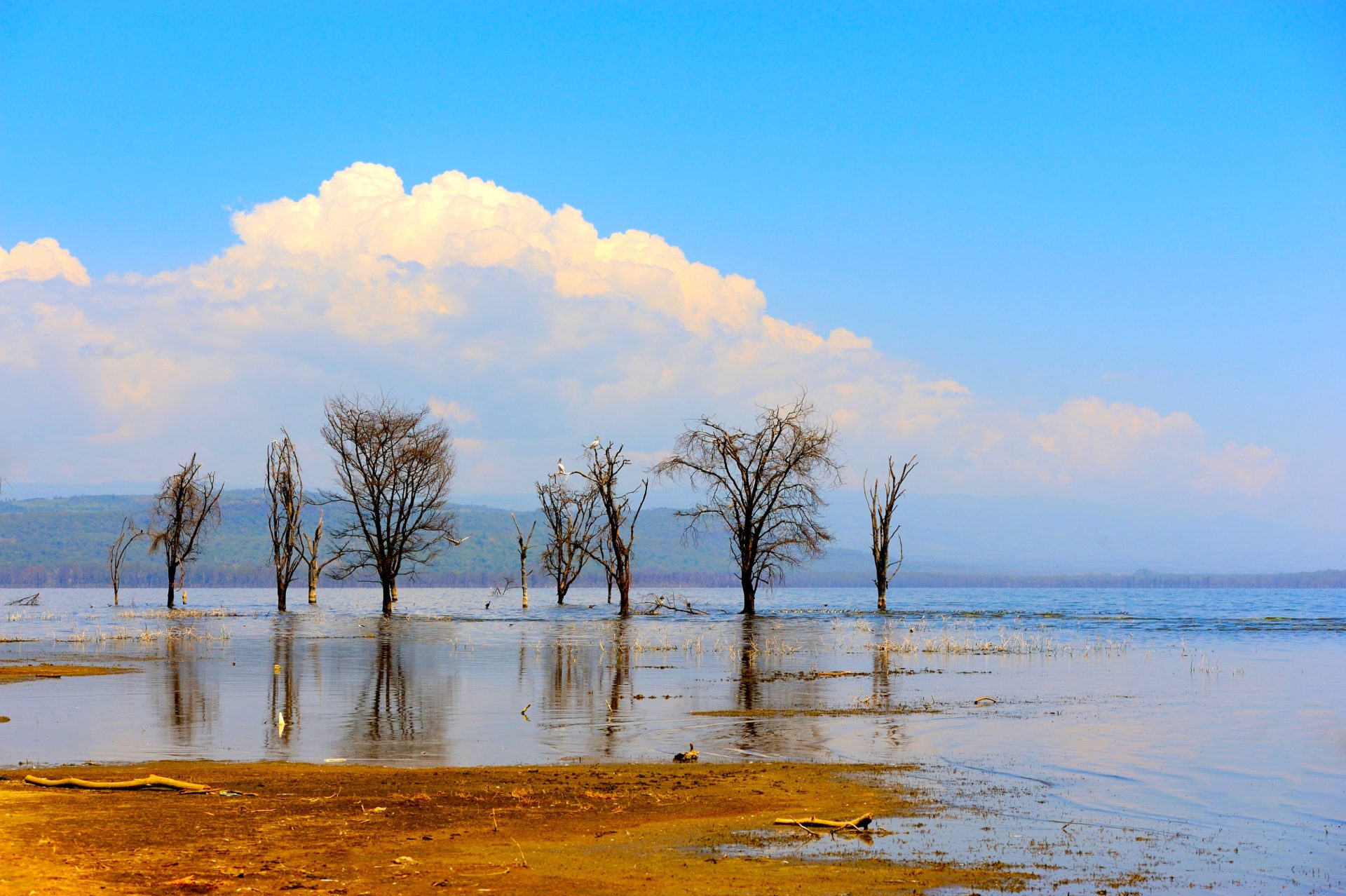 Aumento de temperaturas riesgo de sequias y avance de condiciones asociadas a El Nino advierte el Ideam3