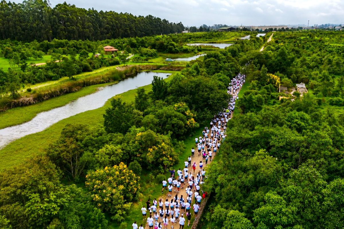 Carrera Rio Bogota unio deporte y restauracion ambiental con siembra de arboles en Cundinamarca